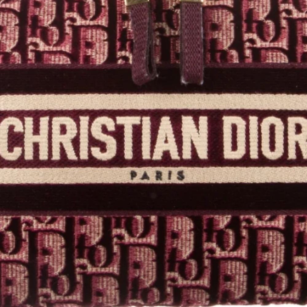 Dior cosmetic bag